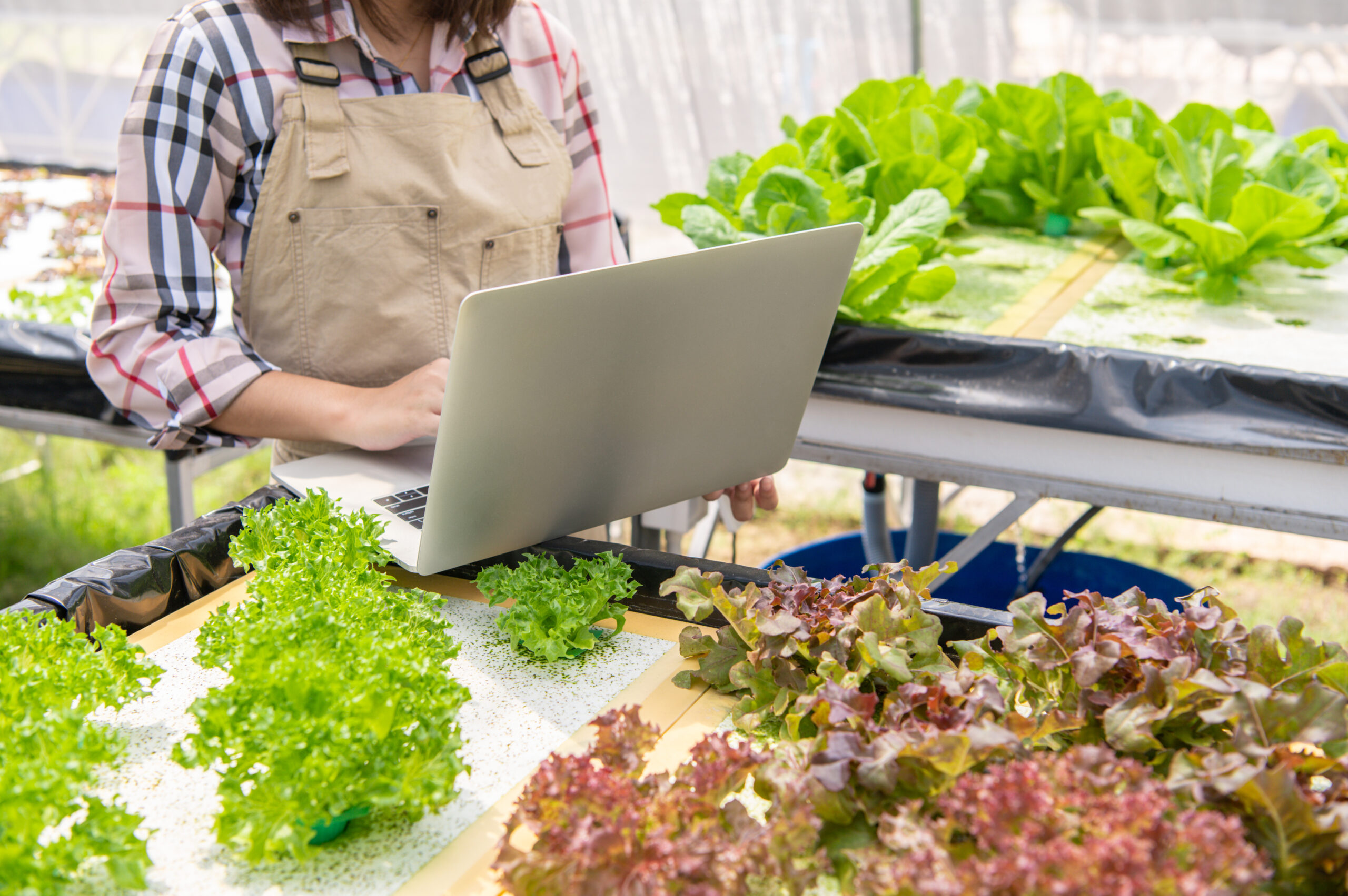 Pourquoi faire de la vente de produits locaux en ligne ?